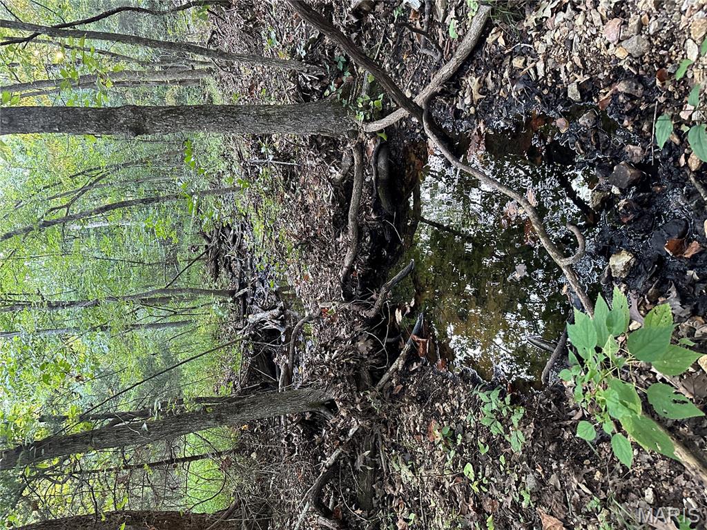 Tdb Upper Janes Creek Road Ravenden, AR 72459 - Photo 75 of 84