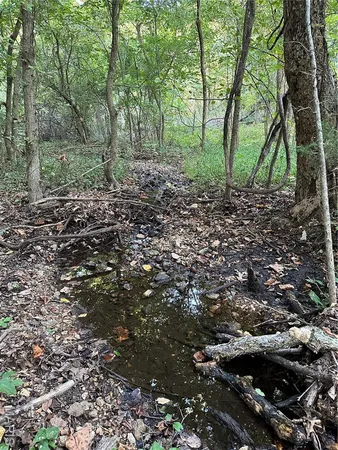 $224,950 | Tdb Upper Janes Creek Road, Ravenden, AR 72459