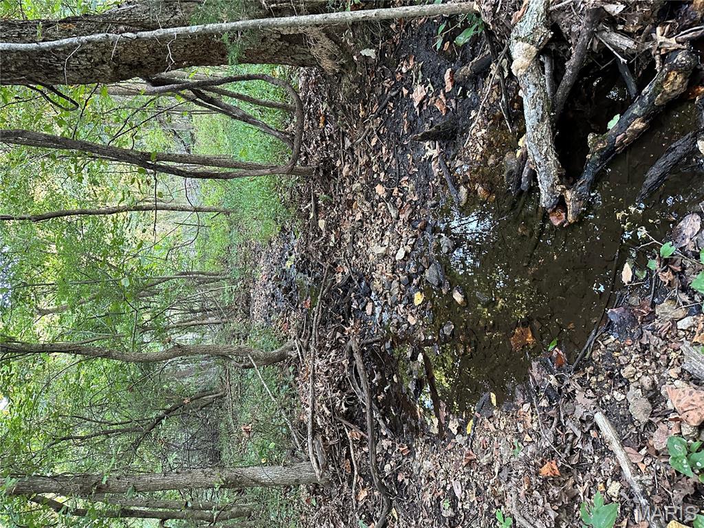 Tdb Upper Janes Creek Road Ravenden, AR 72459 - Photo 76 of 84