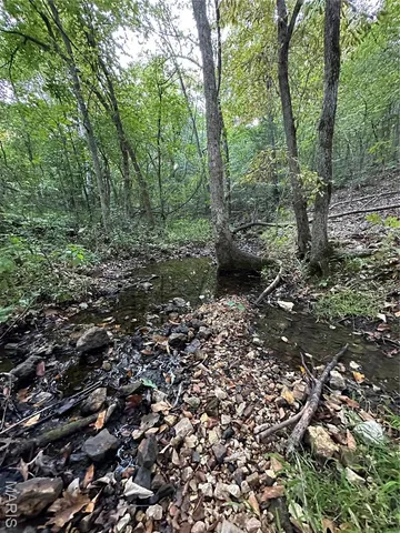 $239,000 | Tdb Upper Janes Creek Road, Ravenden, AR 72459