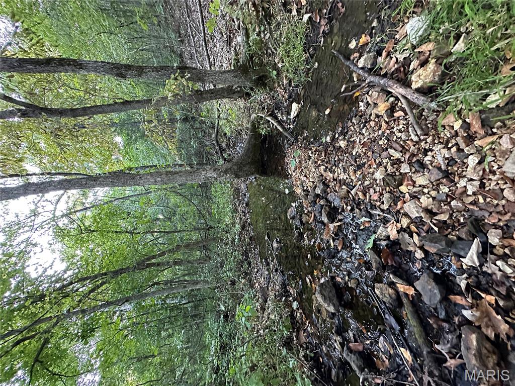 Tdb Upper Janes Creek Road Ravenden, AR 72459 - Photo 77 of 84