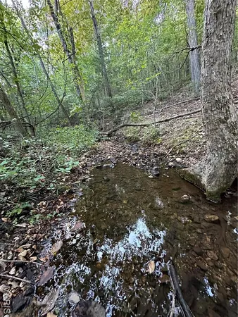 $224,950 | Tdb Upper Janes Creek Road, Ravenden, AR 72459