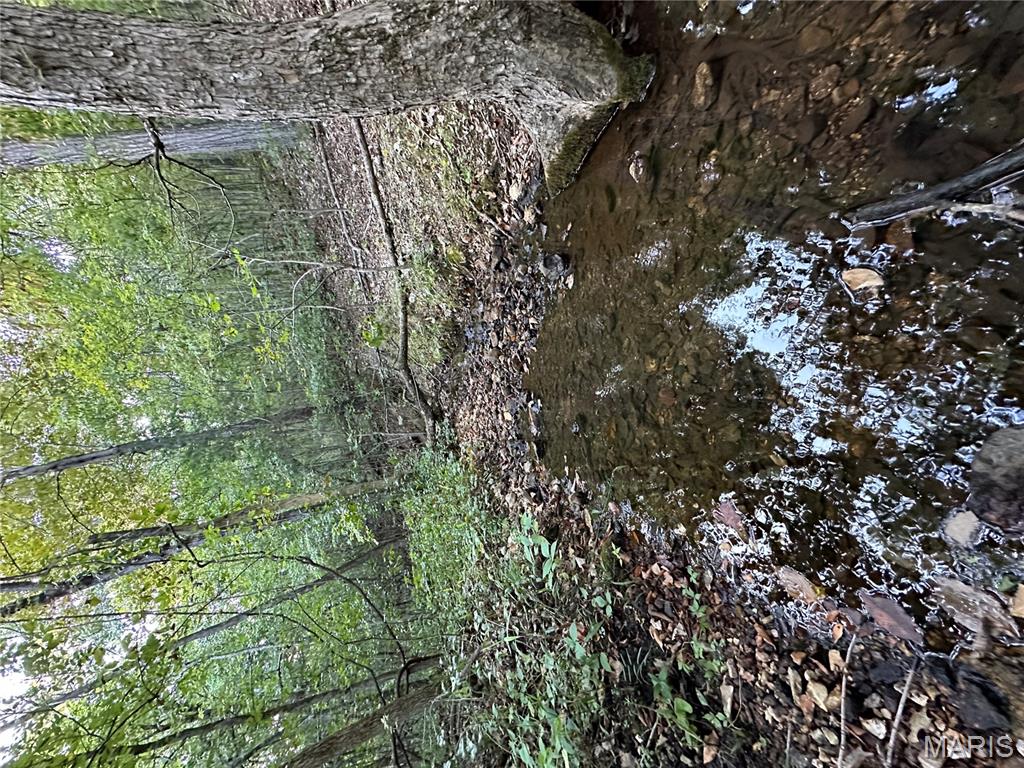 Tdb Upper Janes Creek Road Ravenden, AR 72459 - Photo 78 of 84