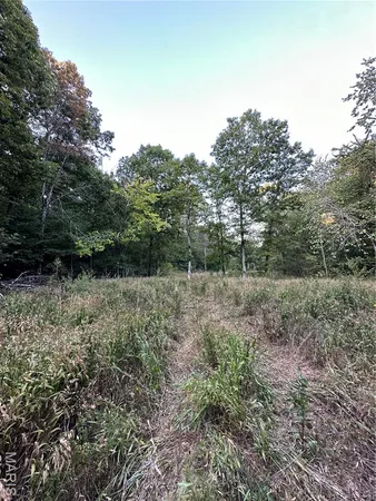 $224,950 | Tdb Upper Janes Creek Road, Ravenden, AR 72459