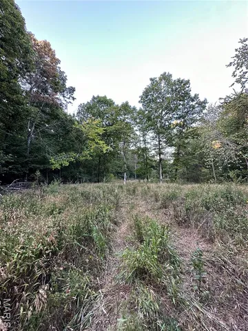 $239,000 | Tdb Upper Janes Creek Road, Ravenden, AR 72459