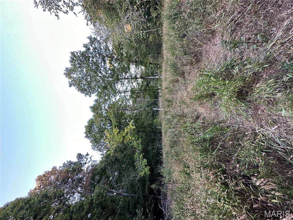 Tdb Upper Janes Creek Road Ravenden, AR 72459 - Photo 79 of 84