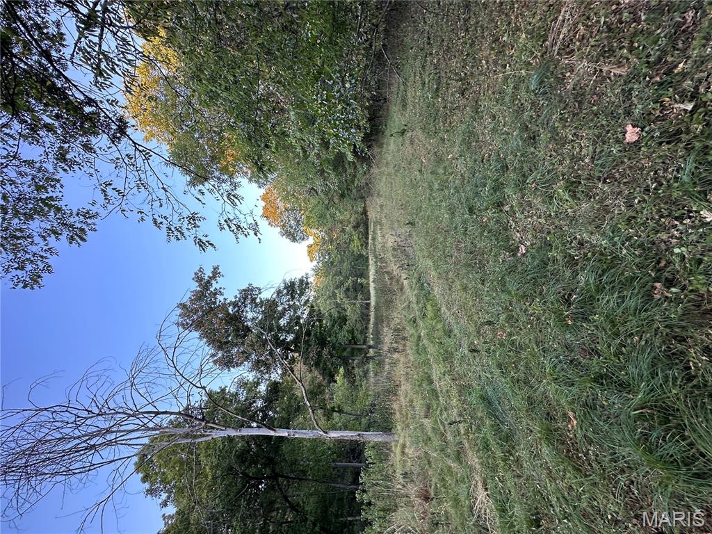 Tdb Upper Janes Creek Road Ravenden, AR 72459 - Photo 80 of 84