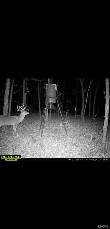 Tdb Upper Janes Creek Road Ravenden, AR 72459 - Photo 8 of 84