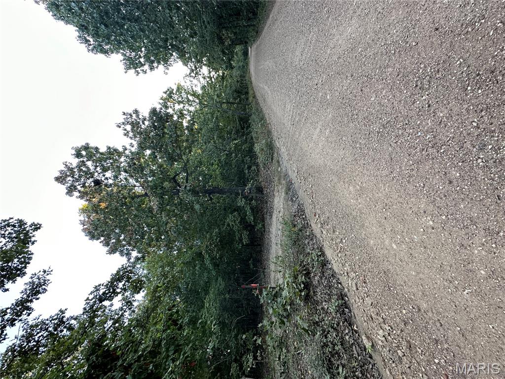 Tdb Upper Janes Creek Road Ravenden, AR 72459 - Photo 81 of 84