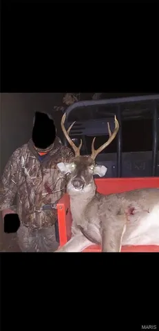 $239,000 | Tdb Upper Janes Creek Road, Ravenden, AR 72459