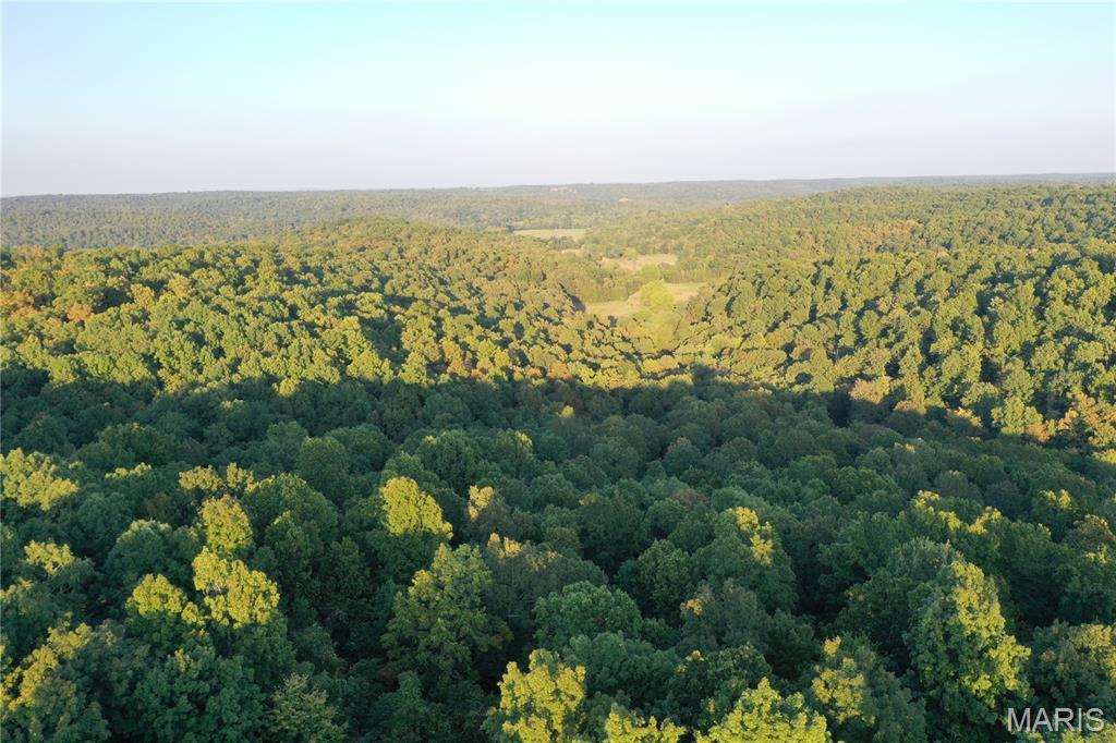 Tdb Upper Janes Creek Road Ravenden, AR 72459 - Photo 10 of 84