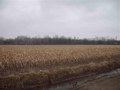7428 West Stanley Road Flushing, MI 48433 - Photo 7 of 11 20212181-6.JPG