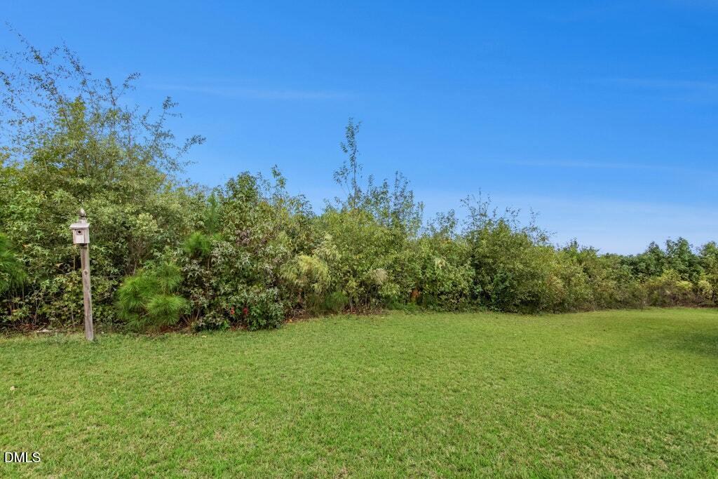 1052 Aquilla Road Benson, NC 27504 - Photo 31 of 31 a view of a field with a tree