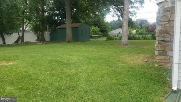 a view of a backyard with large trees