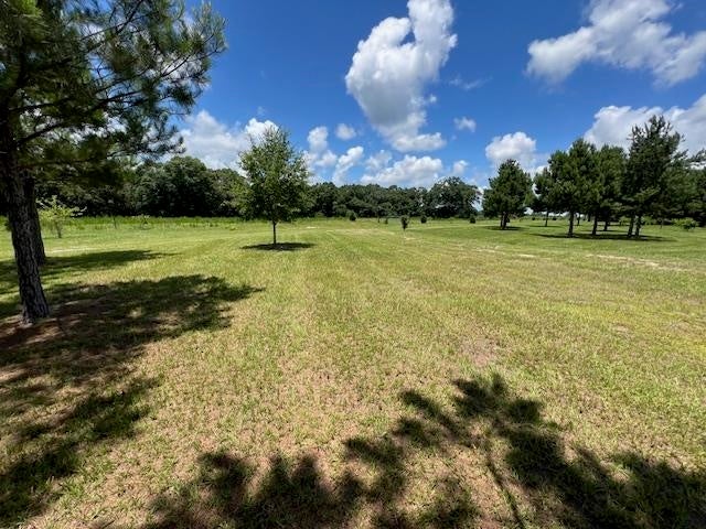 29708 Dyess Dairy Road Opp, AL 36467 - Photo 47 of 49 Gallery Image 47