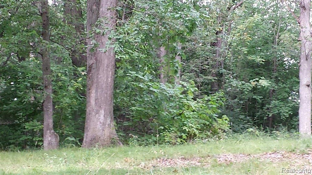 0 Allerton Road Auburn Hills, MI 48326 - Photo 7 of 7 vacant lot.jpeg
