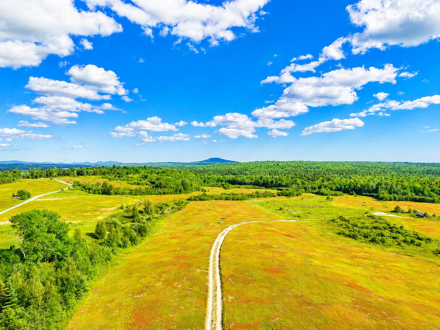Map19-lot28 Leach Road Penobscot, ME 04476 - Photo 16 of 16 MAP19LOT28 Leach Road