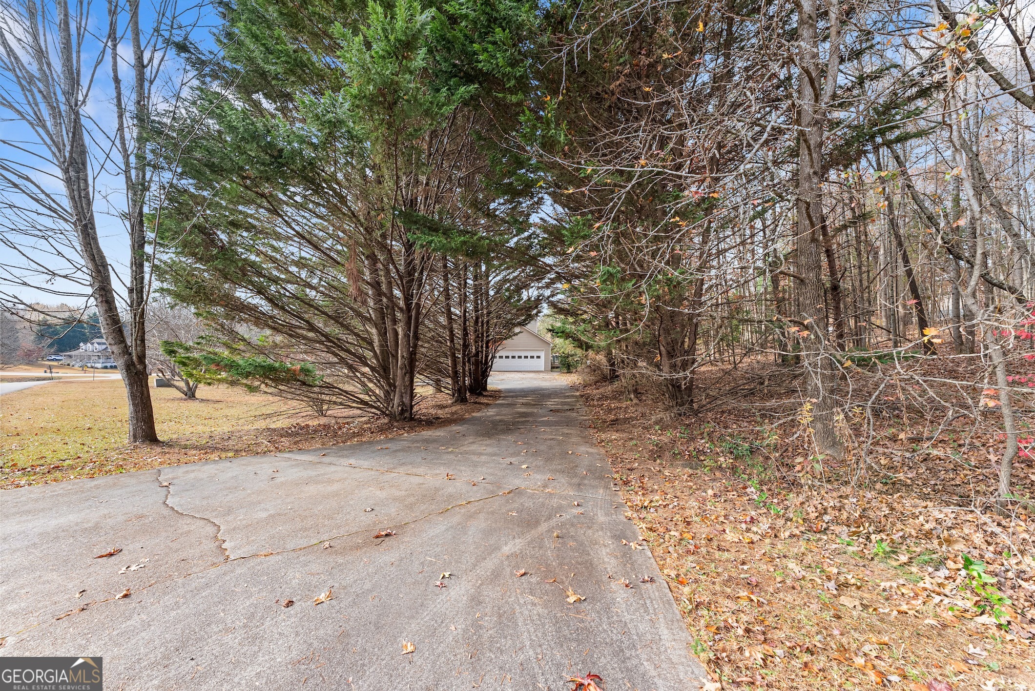 81 Heather Way Cleveland, GA 30528 - Photo 43 of 49 a view of a yard with a tree