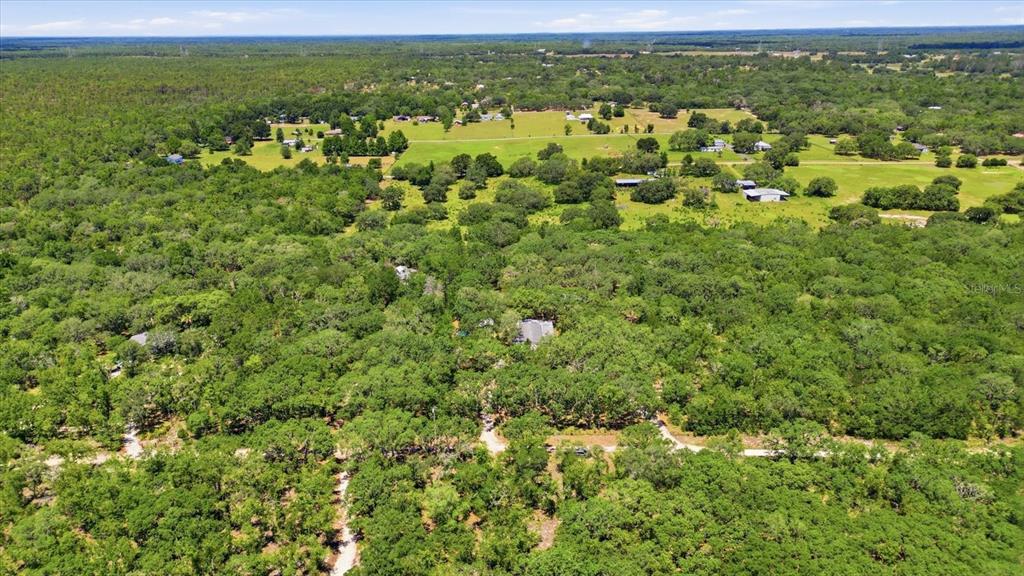7298 South Rama Avenue Lecanto, FL 34461 - Photo 49 of 50