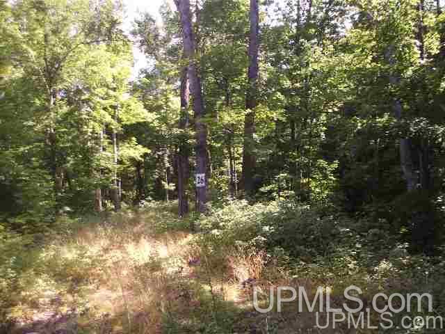 Lot 26 Secluded Point Road Michigamme, MI 49861 - Photo 11 of 17