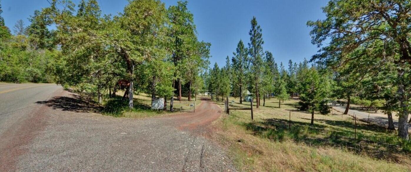 190 Citadel Road Trail, OR 97541 - Photo 12 of 27 a view of a park with large trees