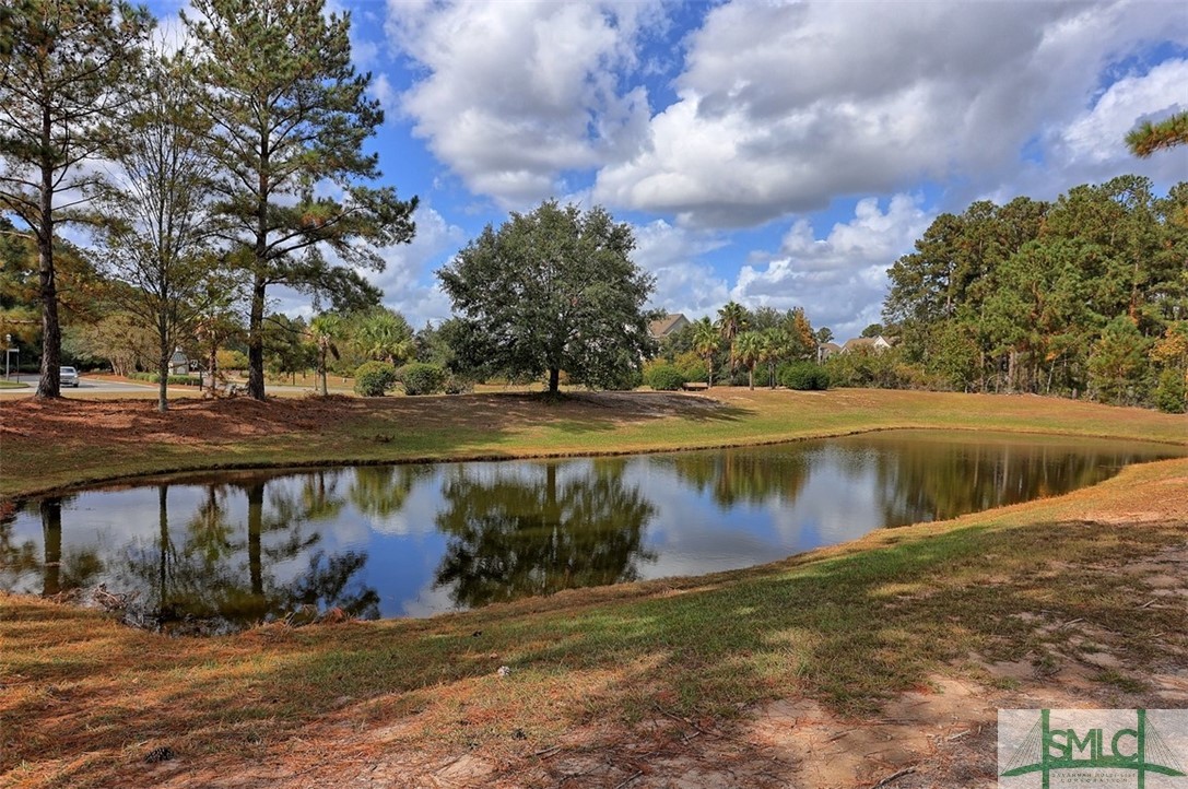 109 Copper Brook Lane Pooler, GA 31322 - Photo 40 of 43 Gallery Image 40