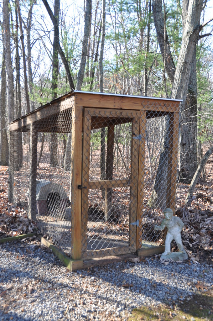 1153 Mead Valley Road Moneta, VA 24121 - Photo 4 of 35 Rear Dog Kennel Enclosure W/house