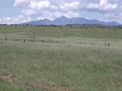 0 Vaughn Loop Road Elgin, AZ 85611 - Photo 1 of 1