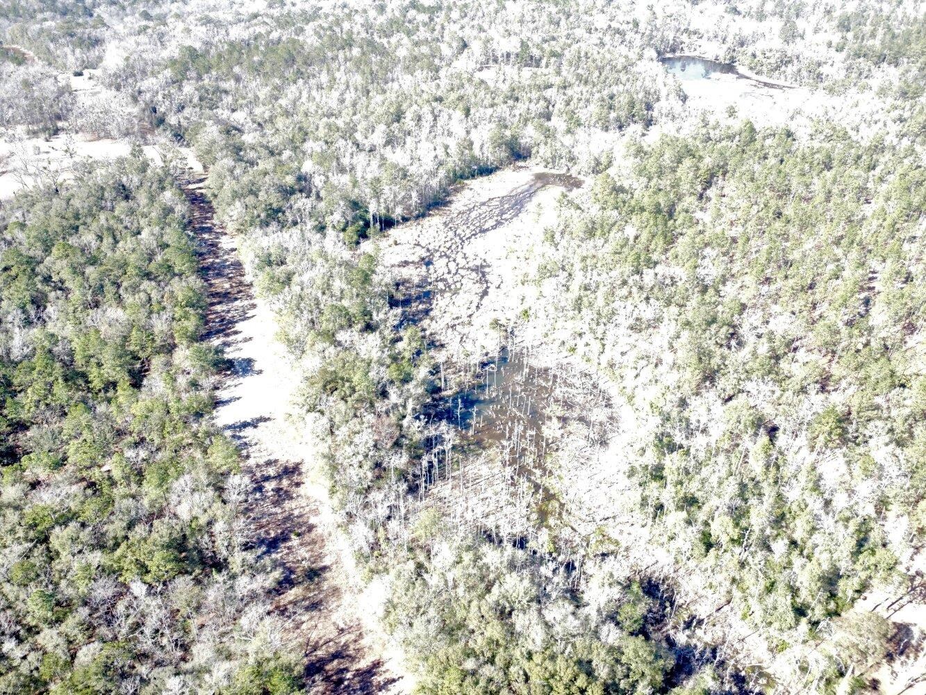 0 Dixon Road Bay Minette, AL 36507 - Photo 16 of 50