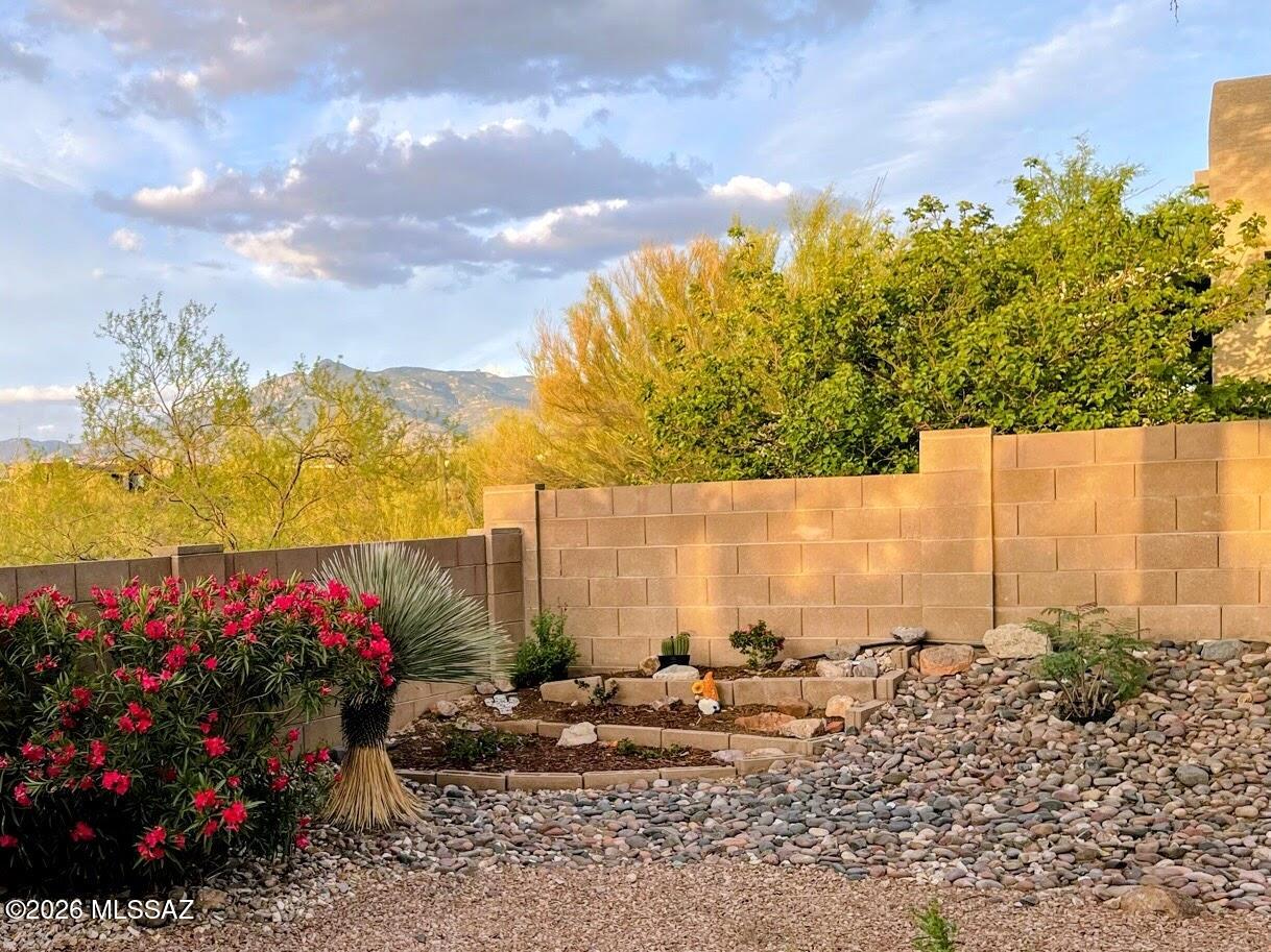 10835 South Heart Break Ridge Place Vail, AZ 85641 - Photo 36 of 49 a view of a backyard with plants and flowers