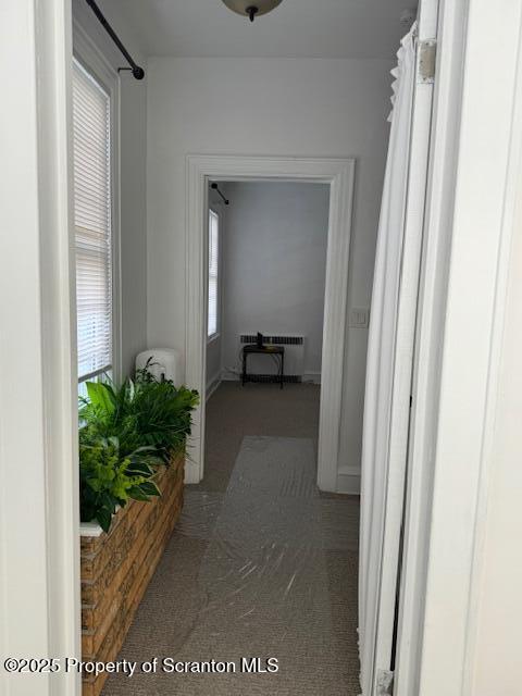 428 Wheeler Avenue, Unit 2 Scranton, PA 18510 - Photo 9 of 17 a view of living room