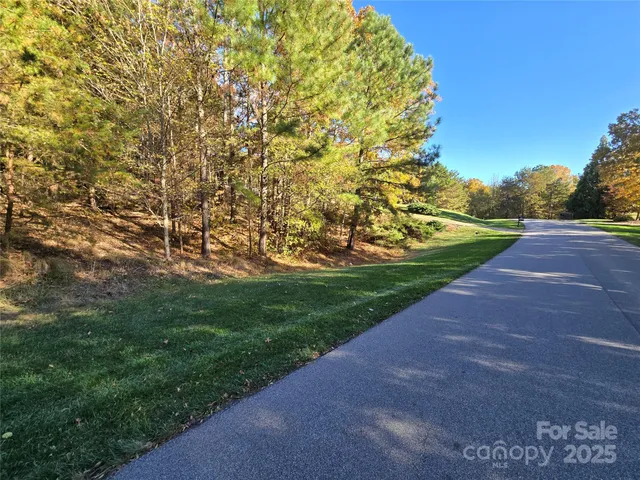 a view of a yard with plants and trees