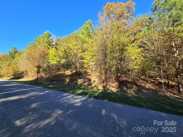a view of a green yard