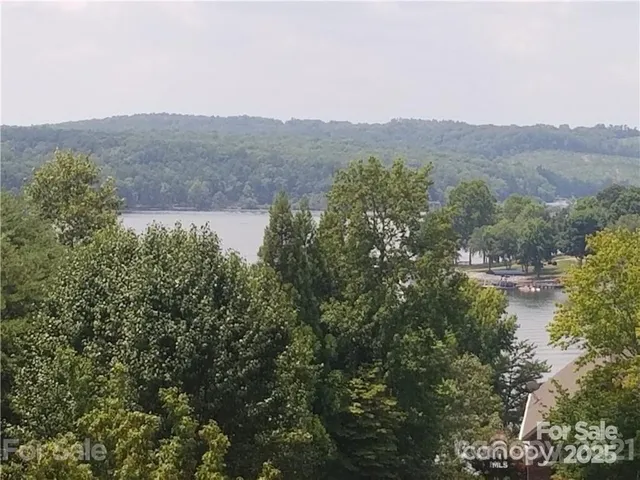an aerial view of mountain with trees in the background