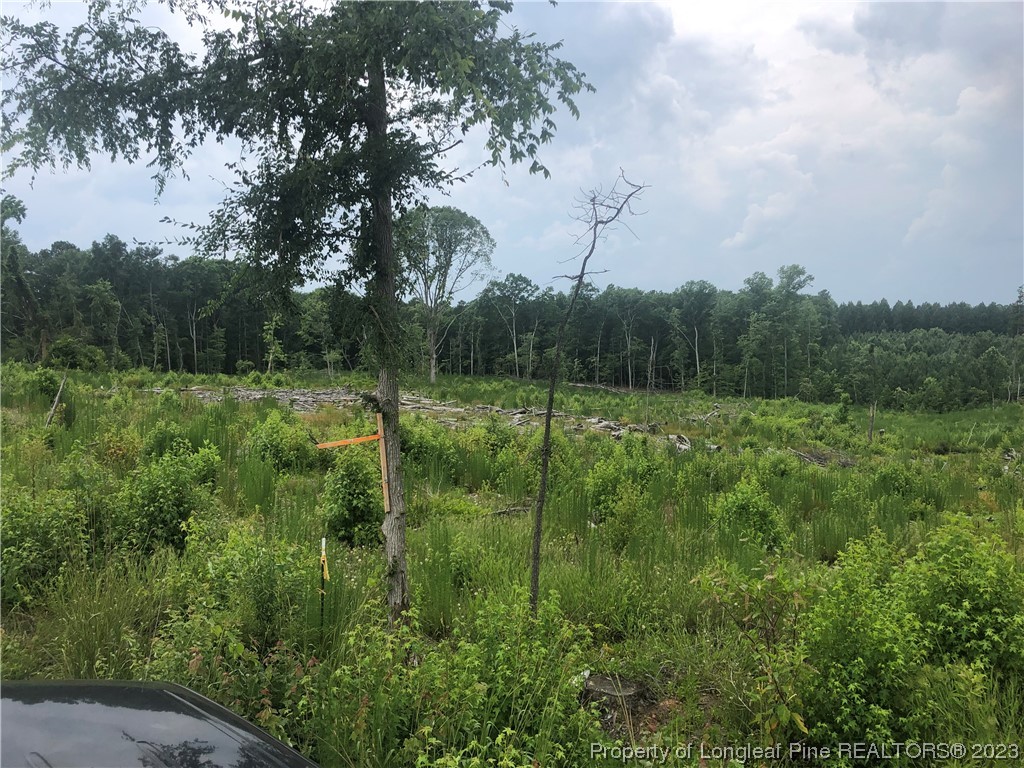 Steel Bridge Road, Sanford, NC 27330 Compass