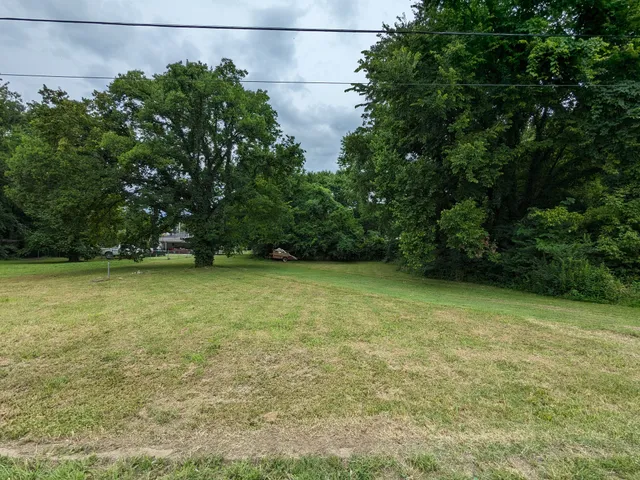 a view of a yard with potted plants and large trees