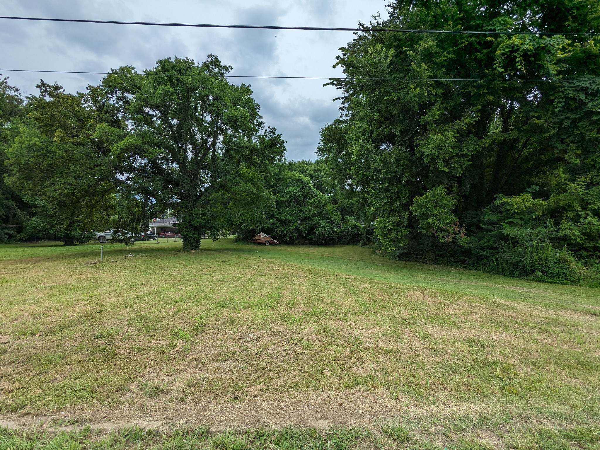 212 Boswell Street Mount Pleasant, TN 38474 - Photo 1 of 6 a view of a yard with potted plants and large trees