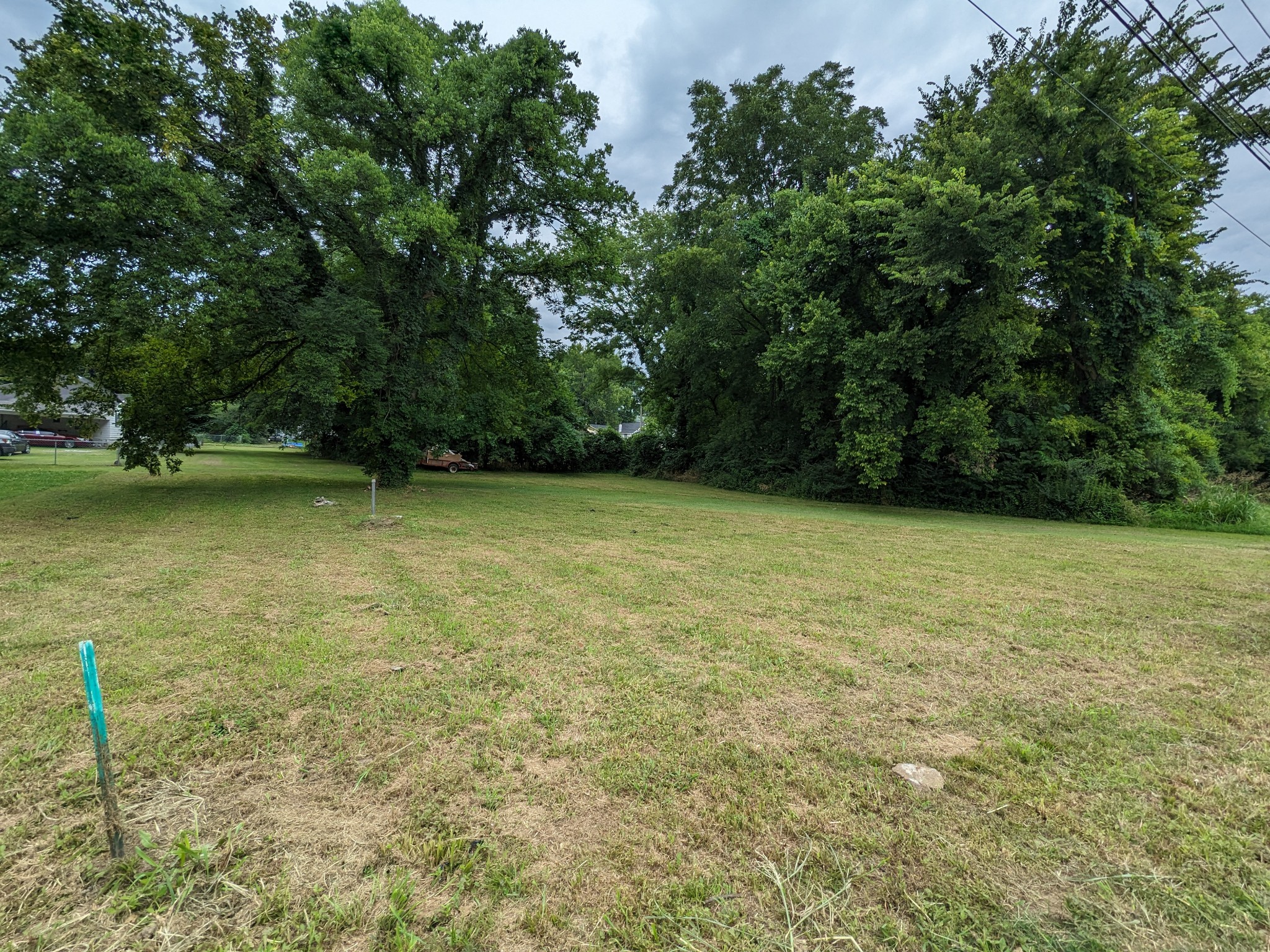 212 Boswell Street Mount Pleasant, TN 38474 - Photo 2 of 6 a view of a green yard