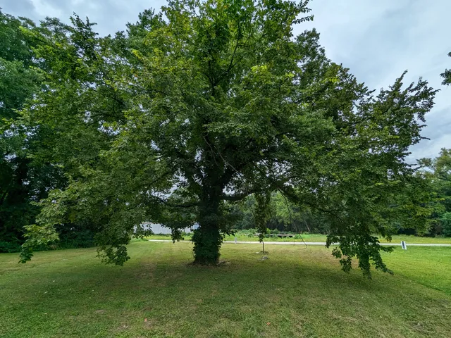 a view of an outdoor space