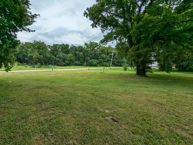 a view of a big yard with a large trees