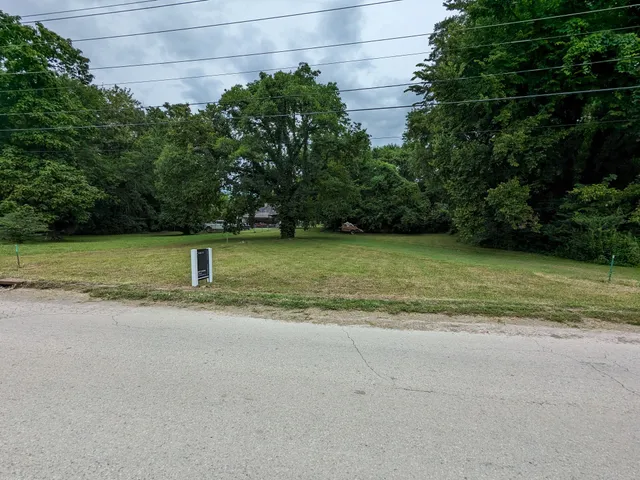 a view of a yard with a fountain