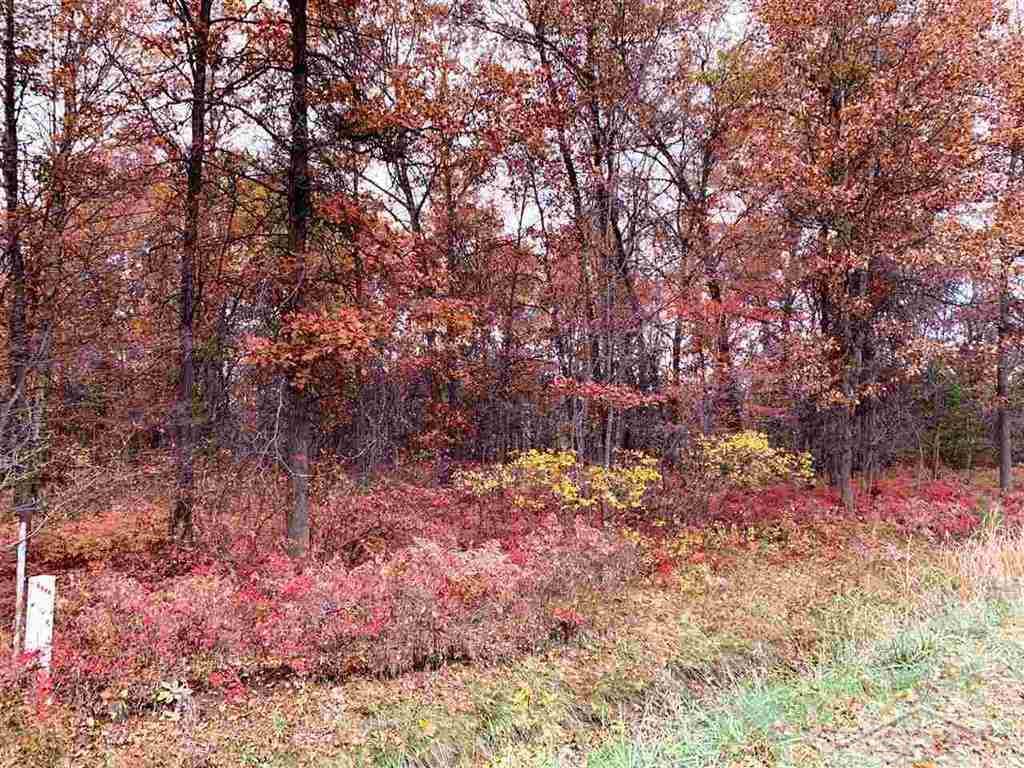 Vl North Dublin Road Midland, MI 48642 - Photo 3 of 3
