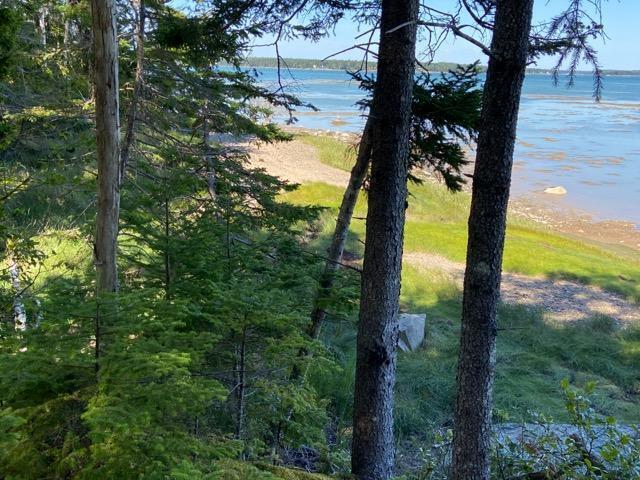 715 Paul Bunyan Road Corea, ME 04624 - Photo 5 of 14 IMG_20250827_163357 (1)