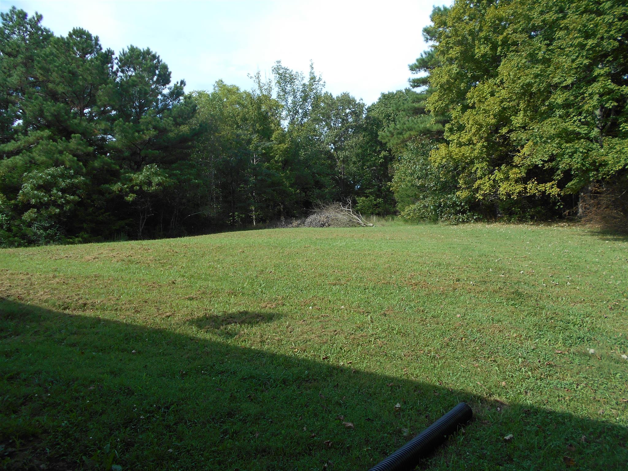 1150 Raney Hill Road Dickson, TN 37055 - Photo 5 of 9 View from house in back yard