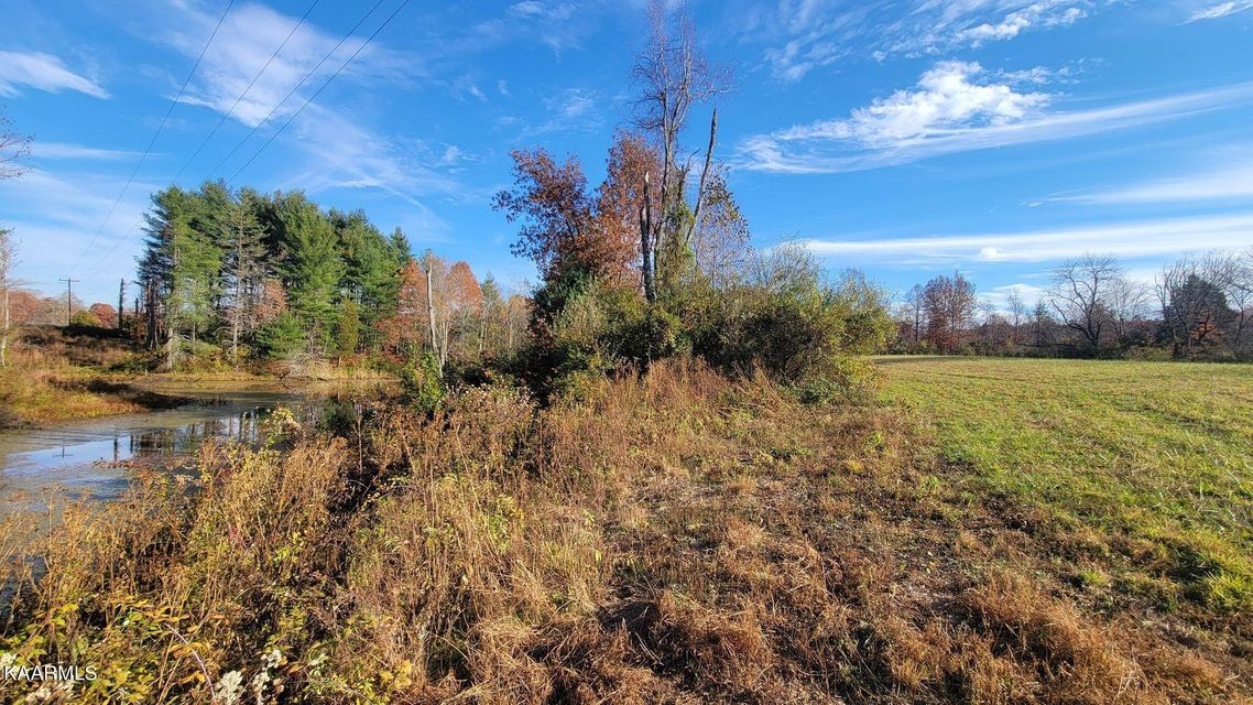 0 Mt Helen Road Allardt, TN 38504 - Photo 12 of 19 Gallery Image 12