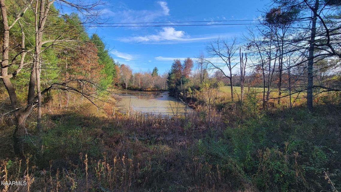 0 Mt Helen Road Allardt, TN 38504 - Photo 16 of 19 Gallery Image 16