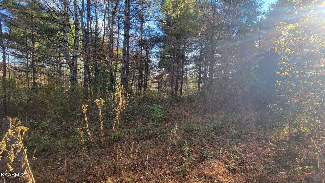 0 Mt Helen Road Allardt, TN 38504 - Photo 17 of 19 Gallery Image 17