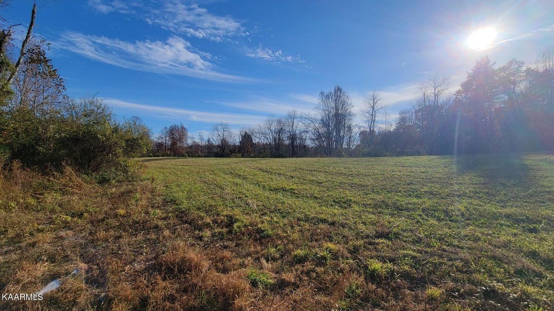 0 Mt Helen Road Allardt, TN 38504 - Photo 2 of 19 Gallery Image 2