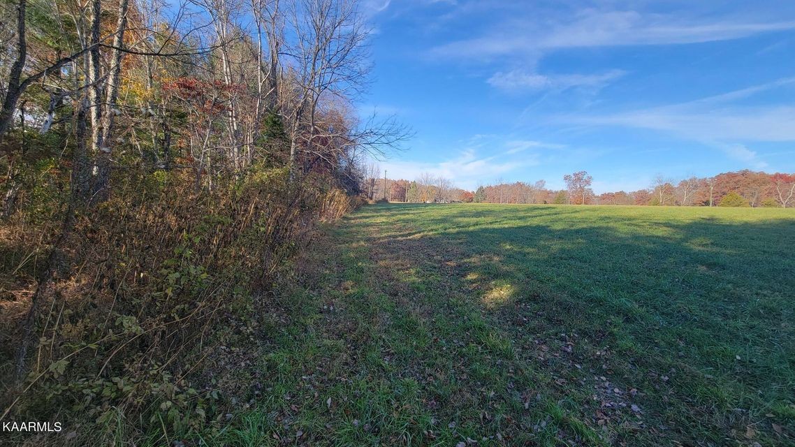 0 Mt Helen Road Allardt, TN 38504 - Photo 4 of 19 Gallery Image 4