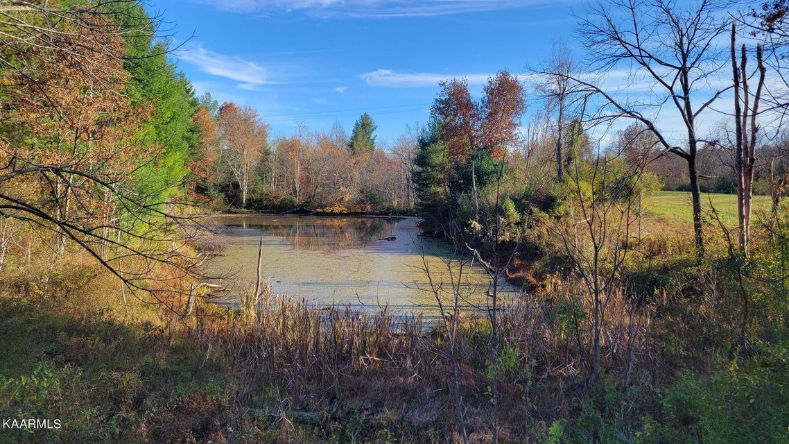 0 Mt Helen Road Allardt, TN 38504 - Photo 6 of 19 Gallery Image 6